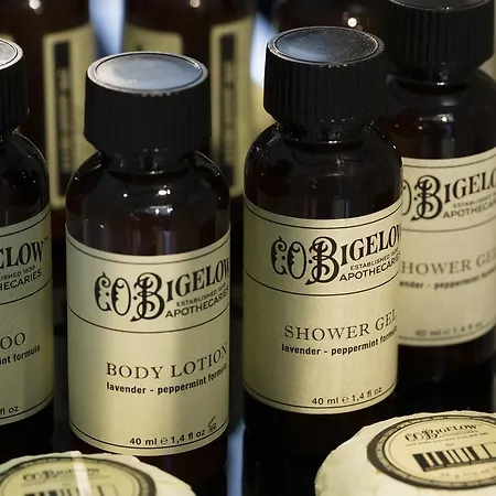 デザイン ソルボンヌ