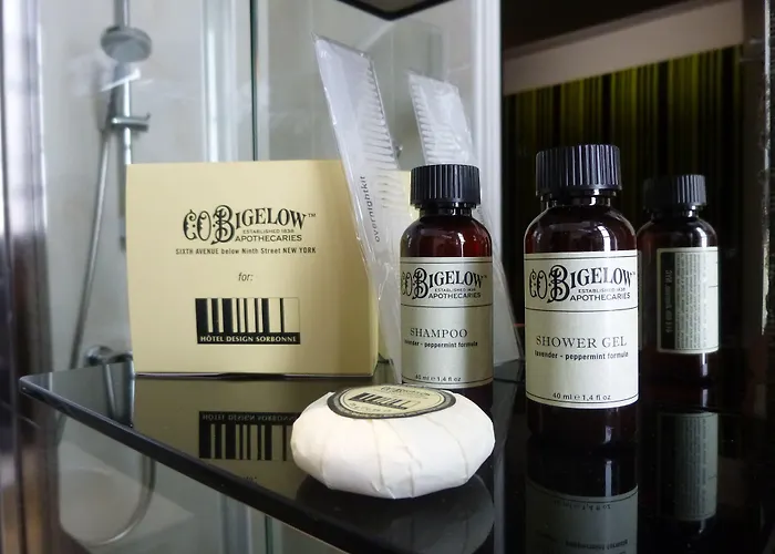 Hotel Design Sorbonne 3*